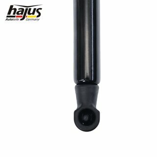 Gasfeder, Koffer-/Laderaum