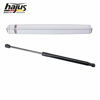 Gasfeder, Koffer-/Laderaum