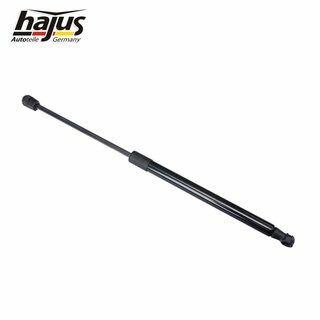 Gasfeder, Koffer-/Laderaum