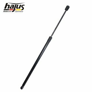 Gasfeder, Koffer-/Laderaum