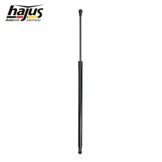 Gasfeder, Koffer-/Laderaum