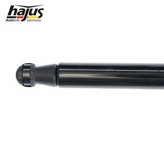 Gasfeder, Koffer-/Laderaum