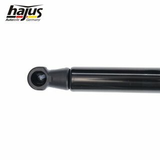 Gasfeder, Koffer-/Laderaum