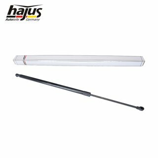 Gasfeder, Koffer-/Laderaum