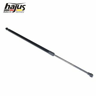 Gasfeder, Koffer-/Laderaum