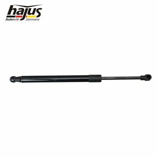 Gasfeder, Koffer-/Laderaum