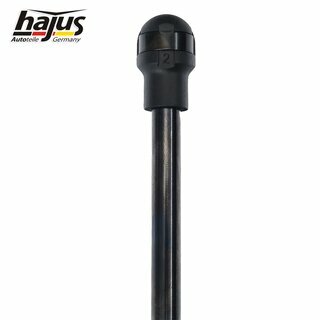 Gasfeder, Koffer-/Laderaum