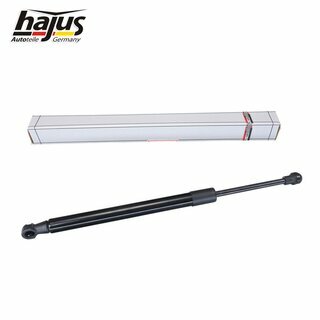 Gasfeder, Koffer-/Laderaum