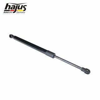 Gasfeder, Koffer-/Laderaum