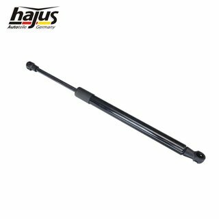 Gasfeder, Koffer-/Laderaum