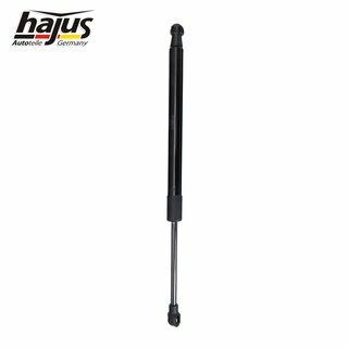 Gasfeder, Koffer-/Laderaum