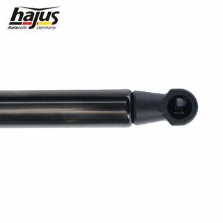 Gasfeder, Koffer-/Laderaum