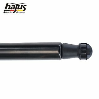 Gasfeder, Koffer-/Laderaum