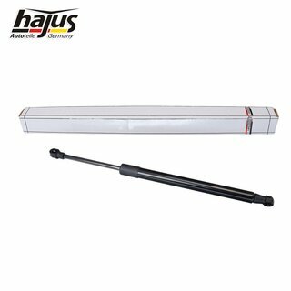 Gasfeder, Koffer-/Laderaum