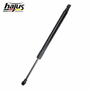 Gasfeder, Koffer-/Laderaum