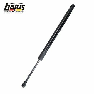 Gasfeder, Koffer-/Laderaum