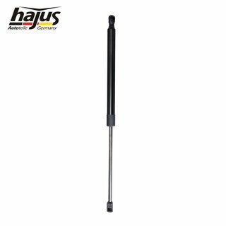 Gasfeder, Koffer-/Laderaum