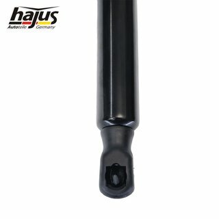 Gasfeder, Koffer-/Laderaum