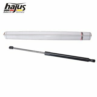 Gasfeder, Koffer-/Laderaum