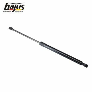 Gasfeder, Koffer-/Laderaum