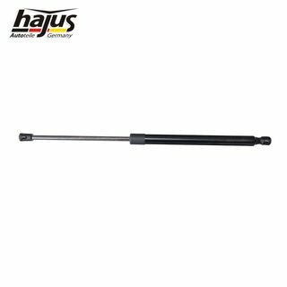 Gasfeder, Koffer-/Laderaum