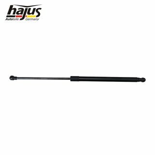 Gasfeder, Koffer-/Laderaum