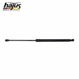 Gasfeder, Koffer-/Laderaum