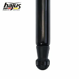 Gasfeder, Koffer-/Laderaum