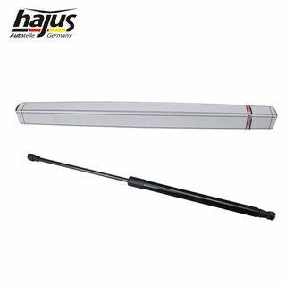 Gasfeder, Koffer-/Laderaum