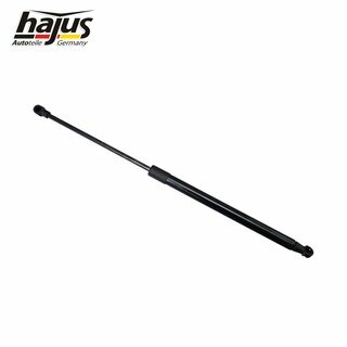 Gasfeder, Koffer-/Laderaum