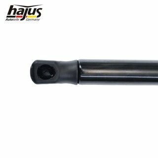 Gasfeder, Koffer-/Laderaum