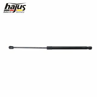 Gasfeder, Koffer-/Laderaum