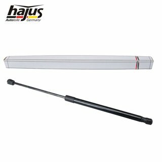 Gasfeder, Koffer-/Laderaum