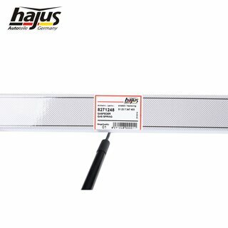 Gasfeder, Motorhaube