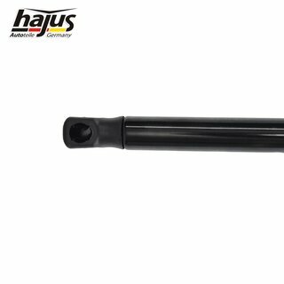 Gasfeder, Koffer-/Laderaum