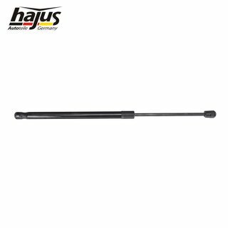 Gasfeder, Koffer-/Laderaum