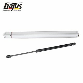 Gasfeder, Koffer-/Laderaum