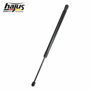 Gasfeder, Koffer-/Laderaum