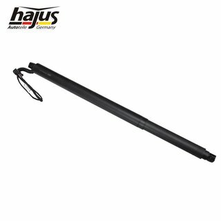 Elektromotor, Heckklappe