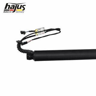 Elektromotor, Heckklappe