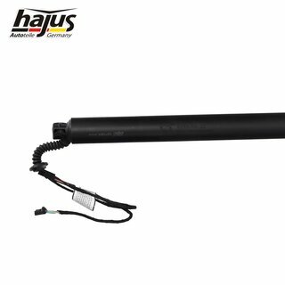 Elektromotor, Heckklappe