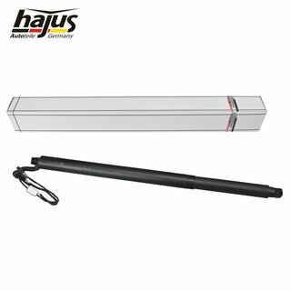 Elektromotor, Heckklappe