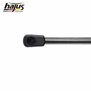 Gasfeder, Koffer-/Laderaum