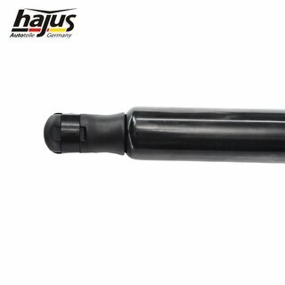 Gasfeder, Koffer-/Laderaum