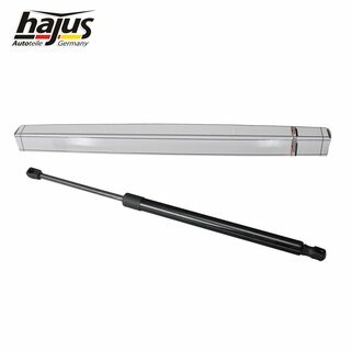 Gasfeder, Koffer-/Laderaum