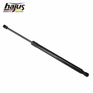 Gasfeder, Koffer-/Laderaum