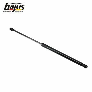 Gasfeder, Koffer-/Laderaum