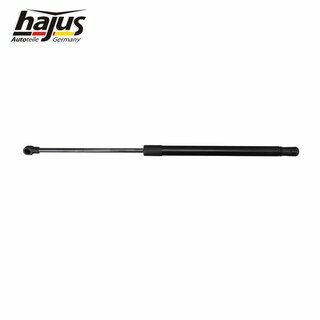 Gasfeder, Koffer-/Laderaum