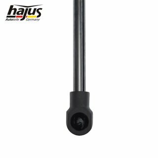 Gasfeder, Koffer-/Laderaum