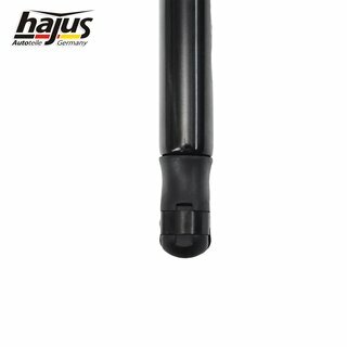 Gasfeder, Koffer-/Laderaum